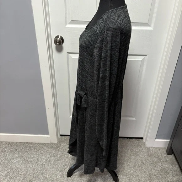 Torrid Dress - Picture 2 of 7